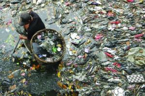JMP&rsquo;s pallet will mop up pollution in Asia